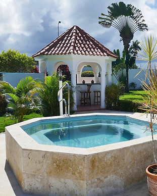 pueblocheco.jpg