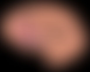 QUALI ALIMENTI POSSONO CREARE DIPENDENZA ? Il ruolo dei grassi e carboidrati presenti nei raffinati