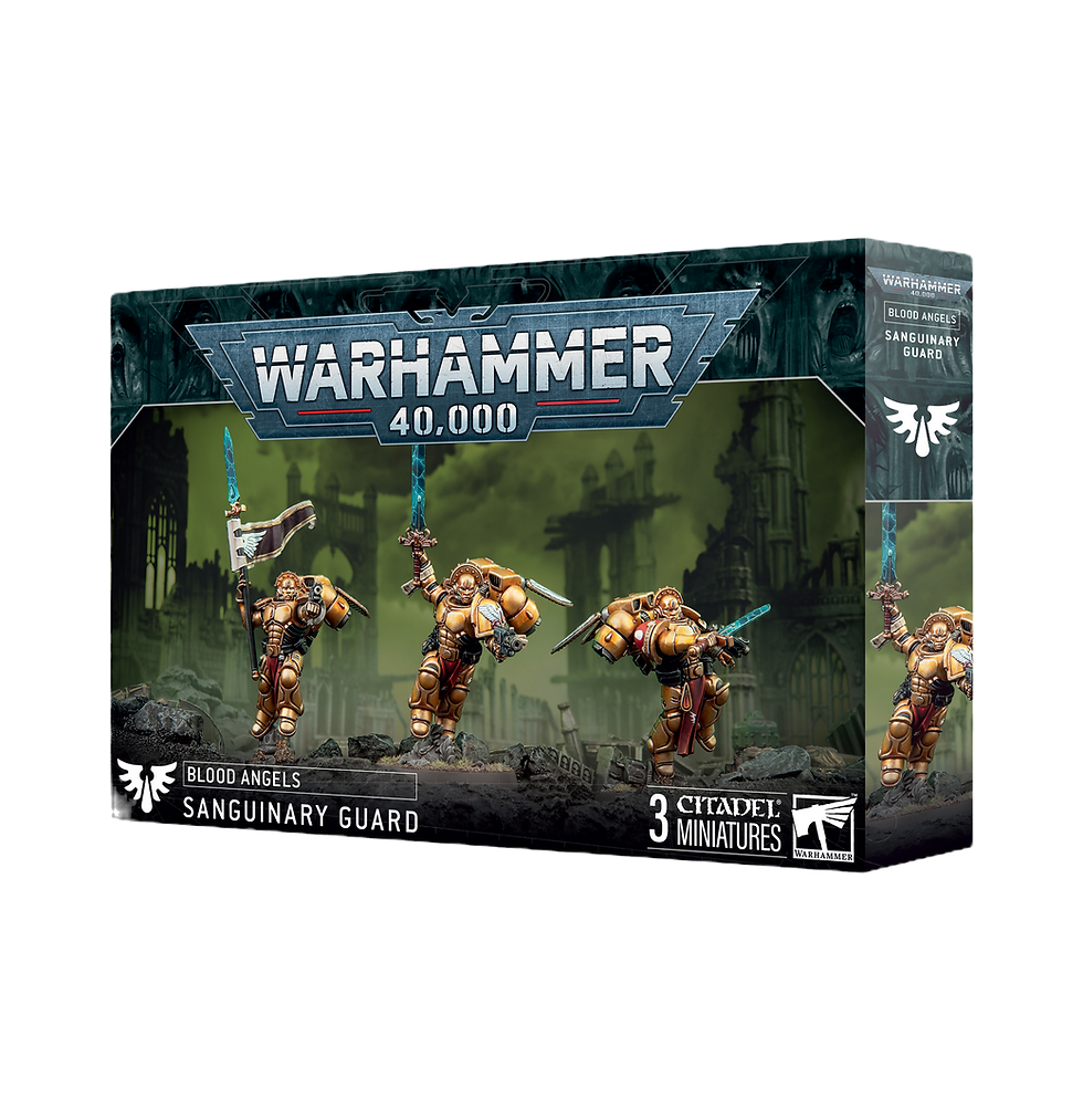 Blood Angels Sanguinary Guard