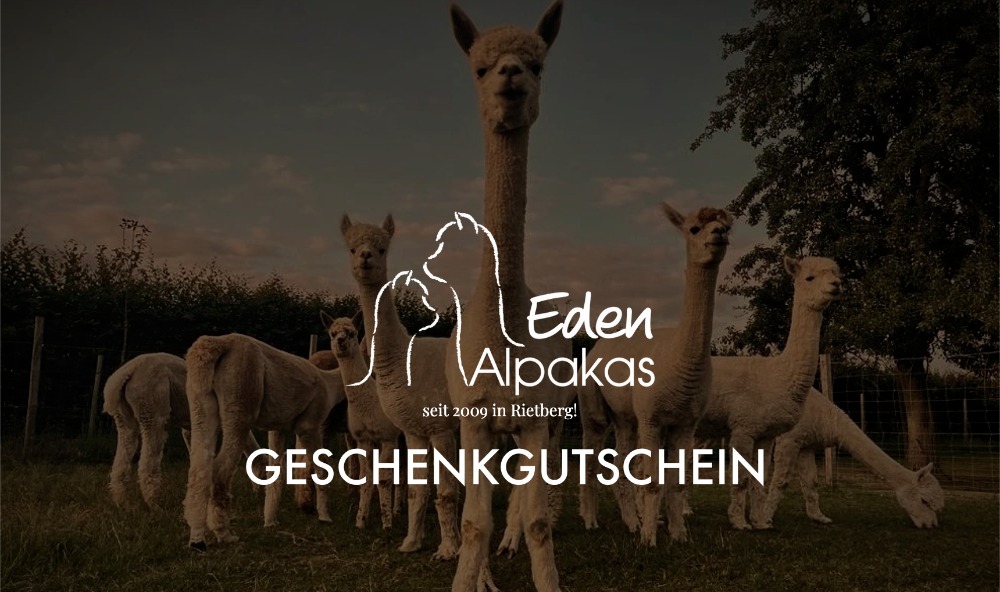 Eden Alpakas Geschenkgutschein