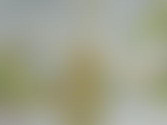 Pagodas of Boothill by Max Bleiweis