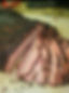 brisket_edited.jpg