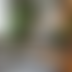 Online Behavioral Consultation: A Global Approach to Therapy