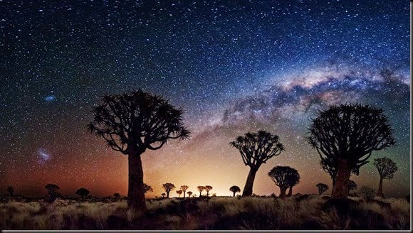 Trees_Galaxy_Milky_Way_Stars_sky_desert_
