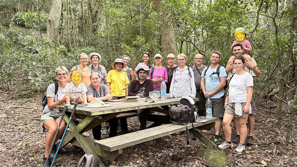 Week-end nature à Koumac : immersion dans le monde fascinant des champignons