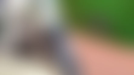 𝗩𝗶𝗴𝗶𝗹𝗮𝗻𝗰𝗲 𝗿𝗲𝗻𝗳𝗼𝗿𝗰𝗲́𝗲 𝗳𝗮𝗰𝗲 𝗮̀ 𝗹𝗮 𝗱𝗲𝗻𝗴𝘂𝗲 𝗲𝘁 𝗮̀ 𝗹𝗮 𝗹𝗲𝗽𝘁𝗼𝘀𝗽𝗶𝗿𝗼𝘀𝗲    