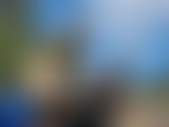 Opération Véhicules Hors d'Usage (VHU)