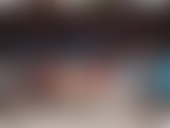 Remise des félicitations au collège