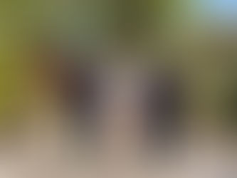 Remise de grades pour les SPV du SIVM NORD