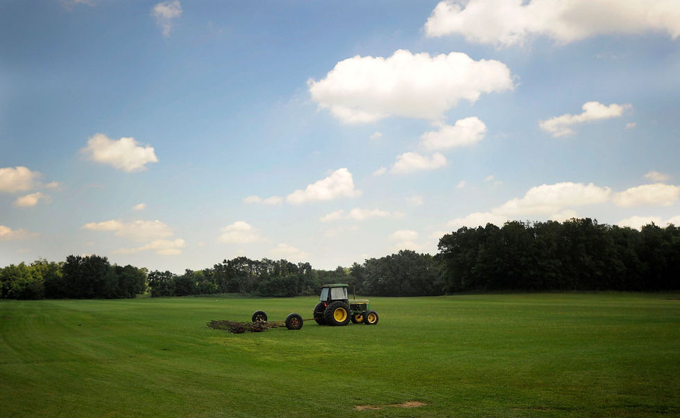 American Beauty Sod Field
