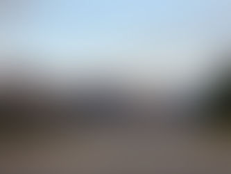 The Interstate Wildlife Violator Compact - All 50 States Onboard for Conservation