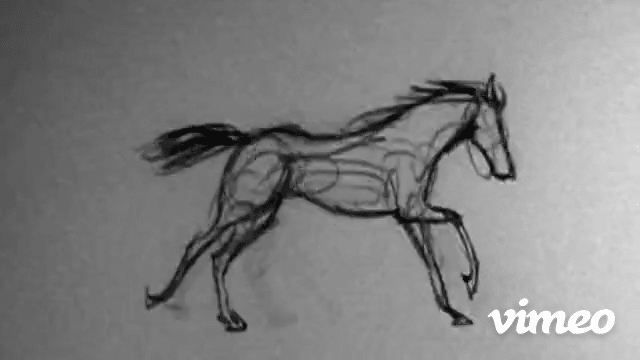 Horse Run Cycle-high (2).gif