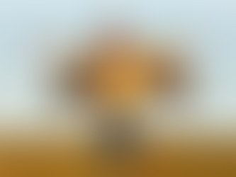 Os exercícios físicos ajudam ou agitam crianças com TDAH?