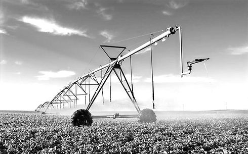 Agriculture%2520_edited_edited.jpg