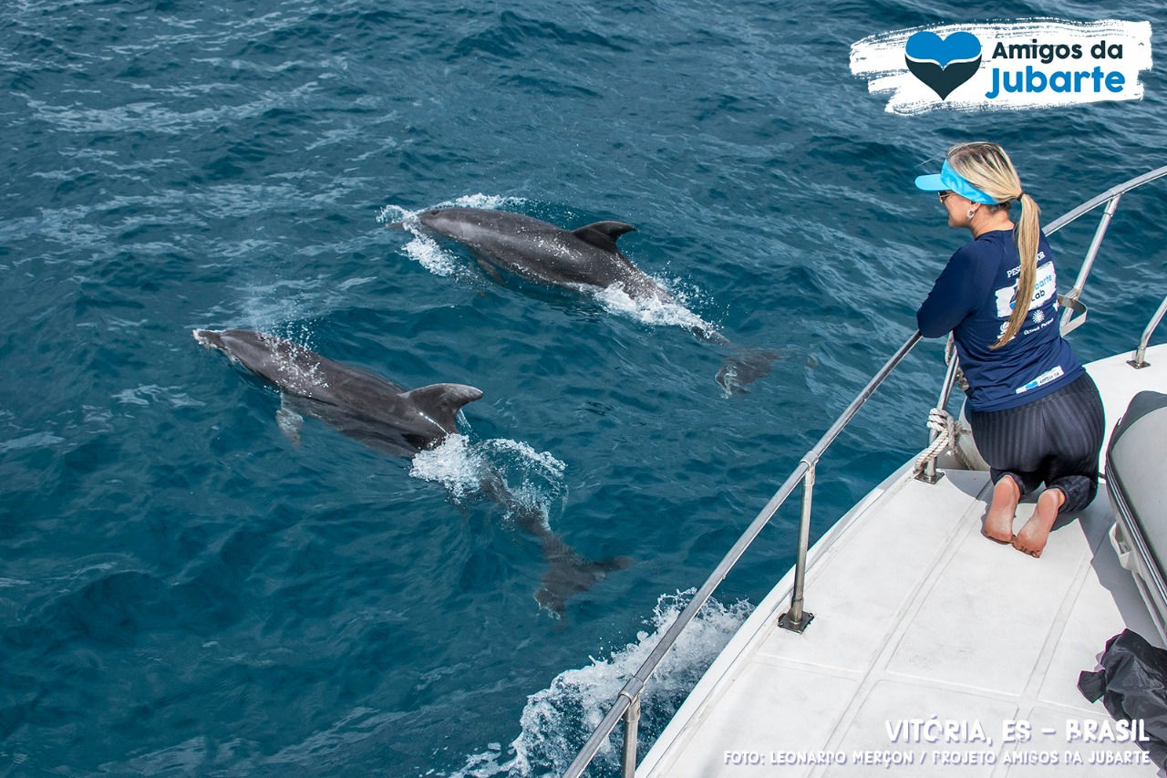 Interacao_golfinho_baleia_foto_Leonardo_