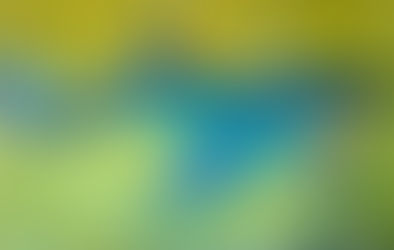 Grafite de Baleia chama atenção de Coordenador do Projeto Amigos da Jubarte