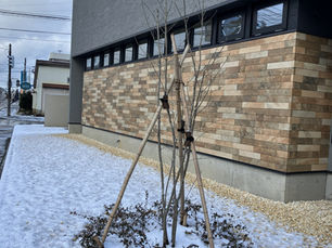 開院1ヶ月が経過しました