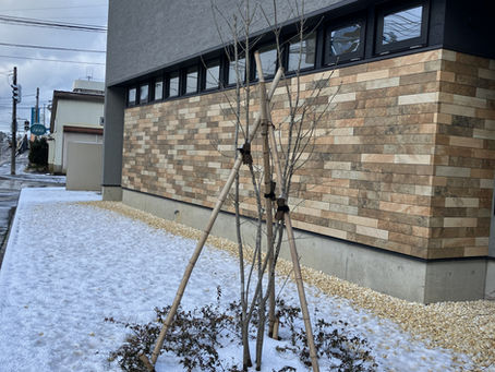 開院1ヶ月が経過しました