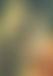 Is It Time You Became an Author?