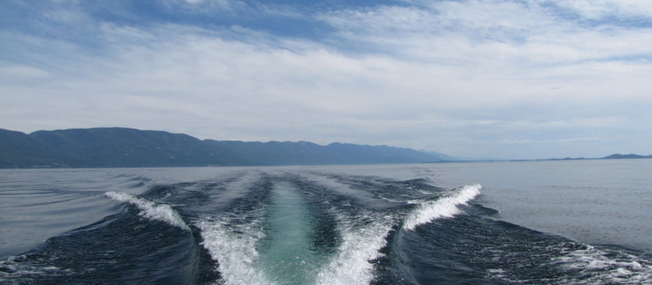 Get Out Of The Wake