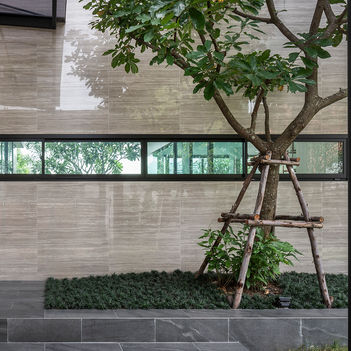 Architecture, Interior, Landscape, Residential, Tropical, Modern, House, Bangkok, Thailand