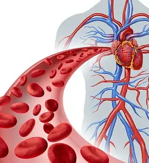 Fotolia_65985643_500px.jpeg.webp