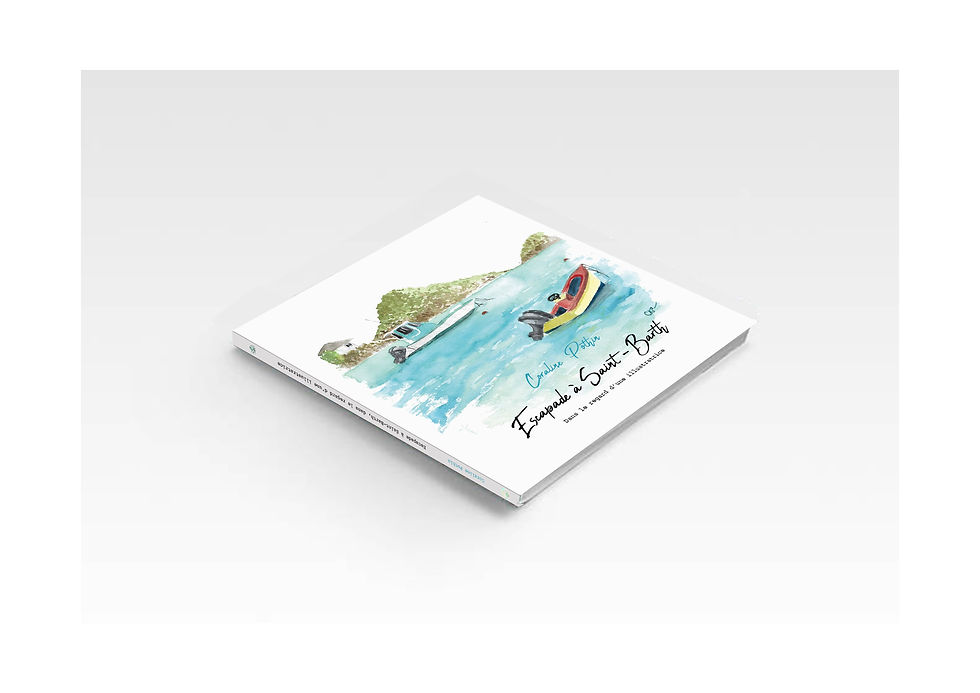 Miniature : Livre Saint Barth
