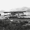 Bar 1914_edited.jpg