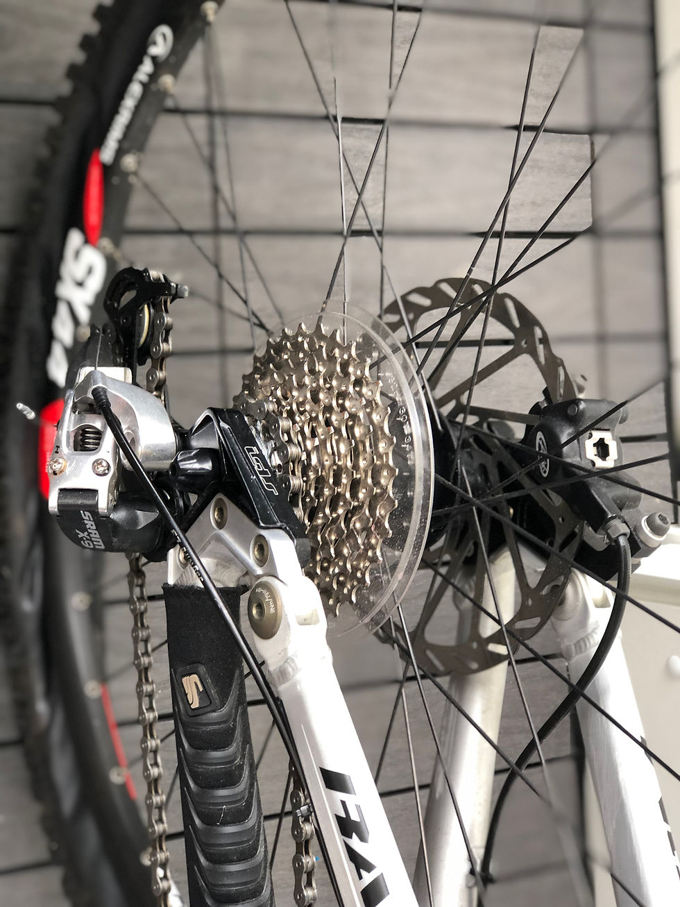 Miniaturebillede: SCOTT. RANSOM