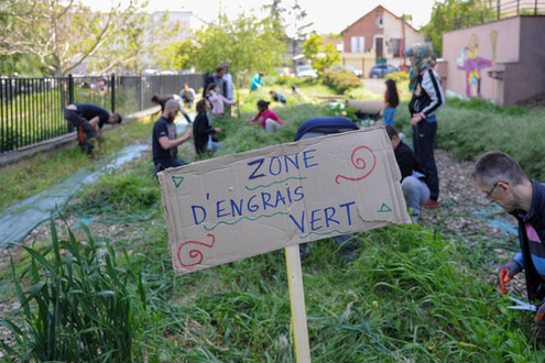 régénération végetale tarterêt_-21.jpg