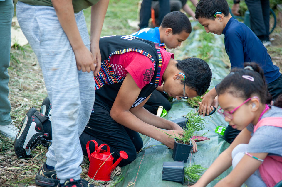 régénération végétale, gestion holistique des territoires 