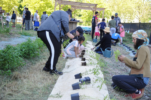 Accompagner les jeunes dans la transition, les rendre acteurs. regeneration vegetale, gestion holistique des territoires