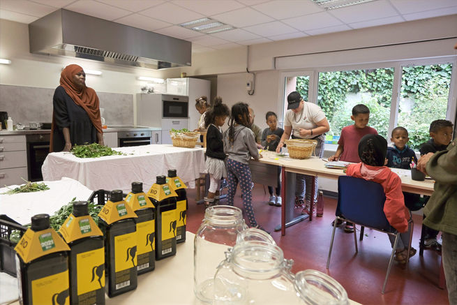 Permaculture urbaine, regeneration vegetale, Fabien Tournan, gestion