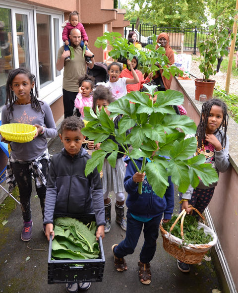 Jardin thérapeutique en Permaculture. Gestion holistique des territoire.