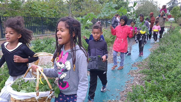 Jardin permaculture urbaine, regeneration vegetale, fabien tournan