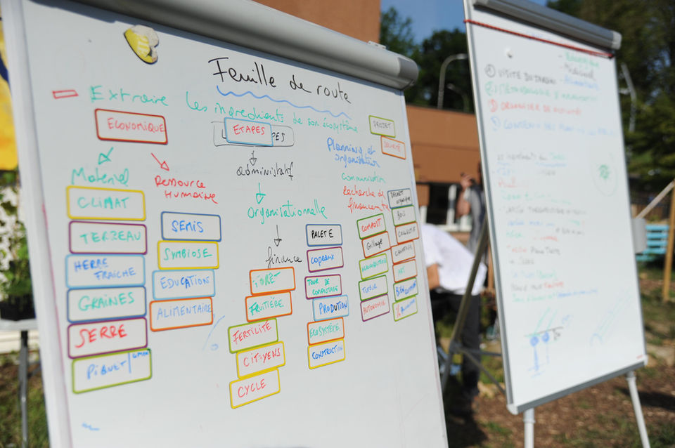 Permaculture, jardin thérapeutique et médicinale.