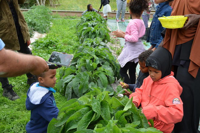 Permaculture, jardin thérapeutique, regeneration vegetale, gestion holistique des territoires