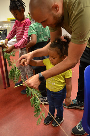 Permaculture urbaine, regeneration vegetale, Fabien Tournan, gestion