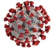 covid2.gif