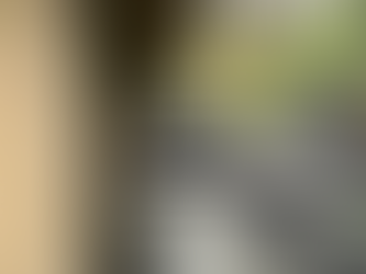 Why Quality Landscaping Is an Investment, Not an Expense.