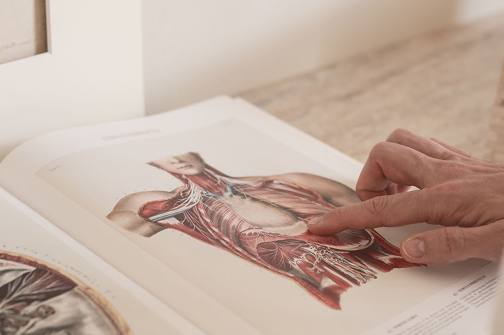 libro d'anatomia presso lo Studio Belci