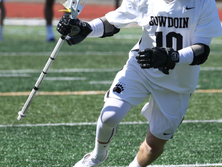 Ford's 5 Biggest Stallions in D3
