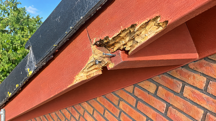 houtrot-herstel-lrn-schilderwerken-almere-amsterdam
