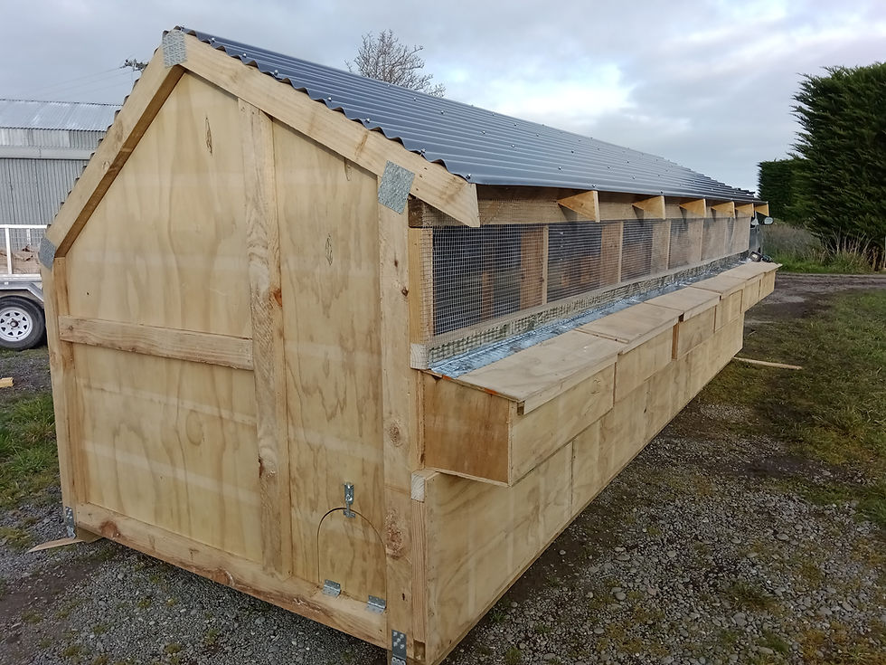 Thumbnail: 6m long chicken house for farms holds 75 hens