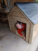 Thumbnail: Large Insulated Dog Kennel for Large and  Dogs