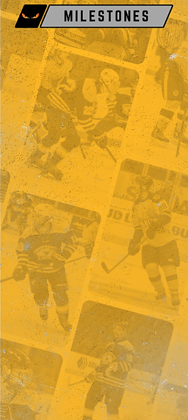 New Team Info (8).png