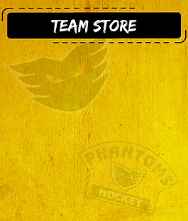 New Team Info (6).png