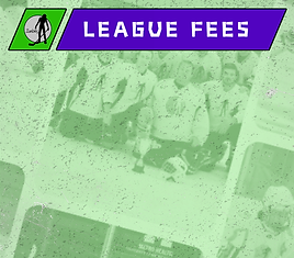 League Fees.png