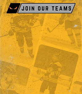 New Team Info (16).png