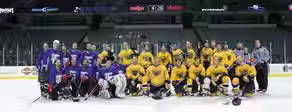 Van Andel Arena: 3-14-15
